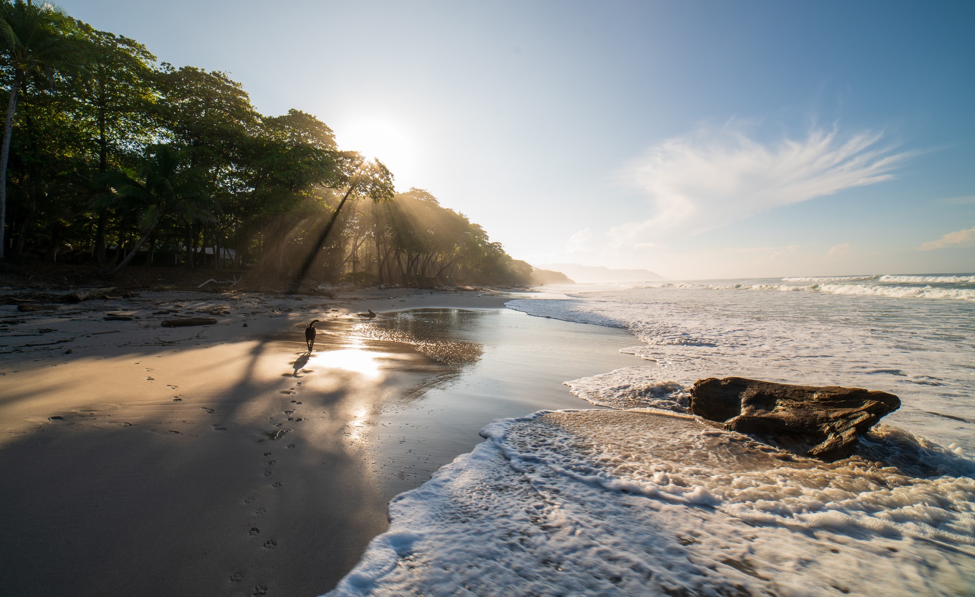nathan-farrish-6rsiaZ-xF1s-unsplash